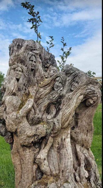 A tree with faces carved into it