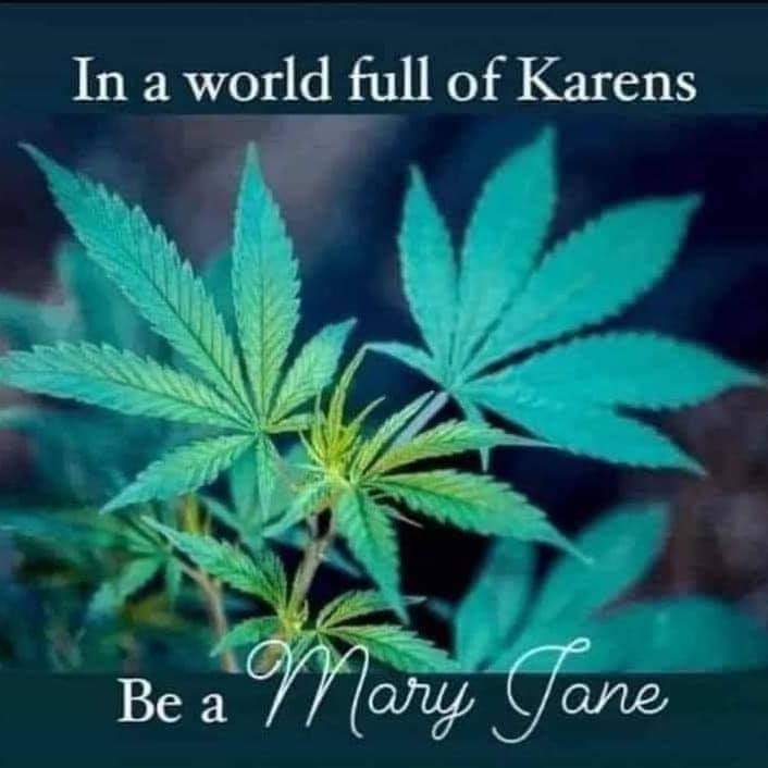A picture of some green leaves with the words " in a world full of karens be a mary jane ".