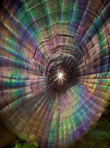 A colorful tunnel with a light shining in it.